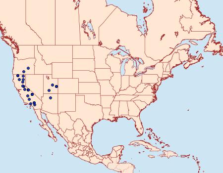 Distribution Data for Stamnodes tessellata