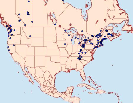 Distribution Data for Xanthorhoe labradorensis