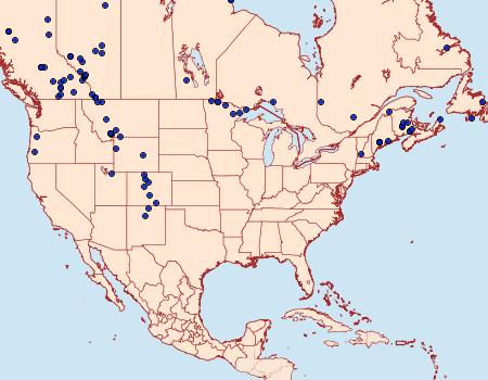 Distribution Data for Xanthorhoe abrasaria