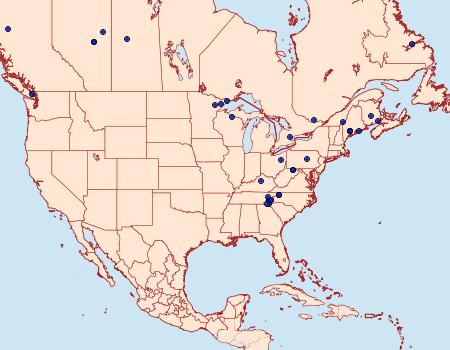 Distribution Data for Xanthorhoe iduata