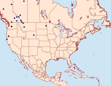 Distribution Data for Xanthorhoe macdunnoughi