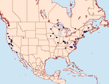 Distribution Data for Phyllonorycter basistrigella