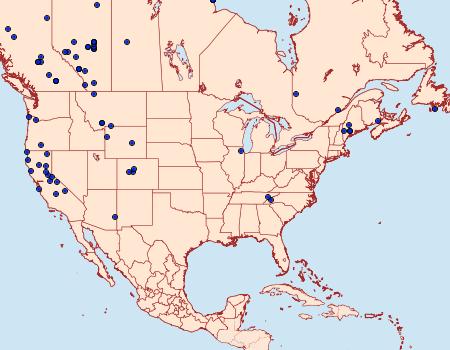 Distribution Data for Xanthorhoe decoloraria