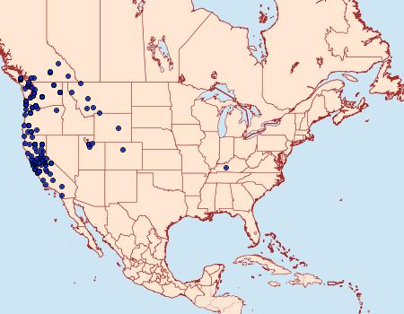 Distribution Data for Xanthorhoe defensaria