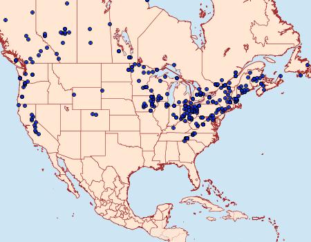 Distribution Data for Xanthorhoe ferrugata