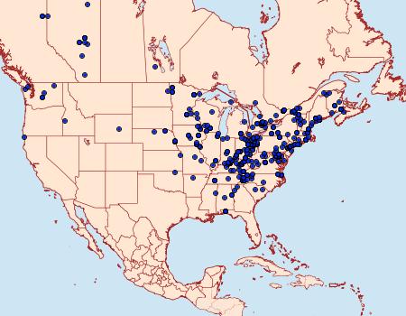 Distribution Data for Xanthorhoe lacustrata