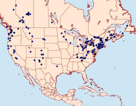 Distribution Data for Epirrhoe alternata