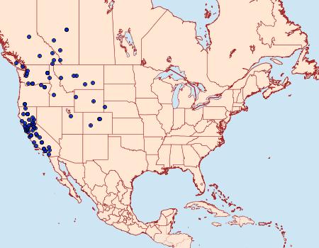 Distribution Data for Epirrhoe plebeculata