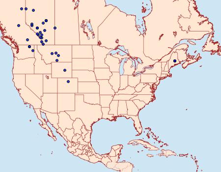 Distribution Data for Epirrhoe sperryi