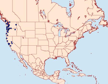 Distribution Data for Enchoria lacteata