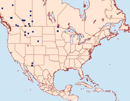 Distribution Data for Zenophleps alpinata