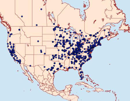 Distribution Data for Orthonama obstipata