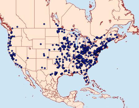 Distribution Data for Costaconvexa centrostrigaria