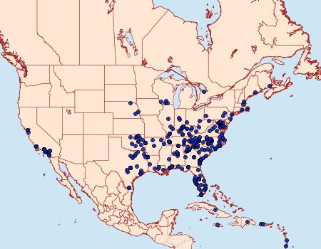 Distribution Data for Disclisioprocta stellata