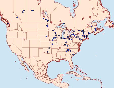 Distribution Data for Hydrelia albifera