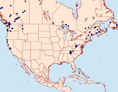 Distribution Data for Venusia cambrica