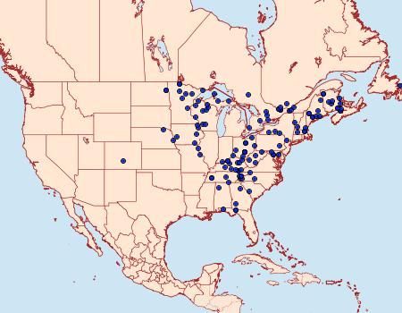 Distribution Data for Venusia comptaria