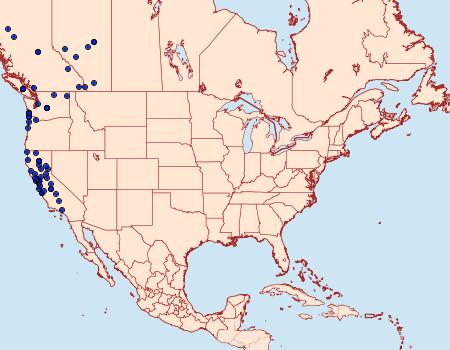 Distribution Data for Venusia pearsalli