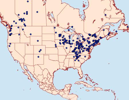 Distribution Data for Trichodezia albovittata