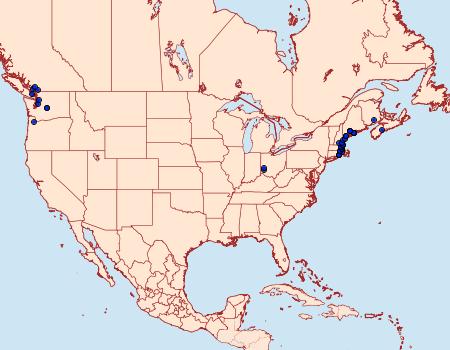 Distribution Data for Operophtera brumata