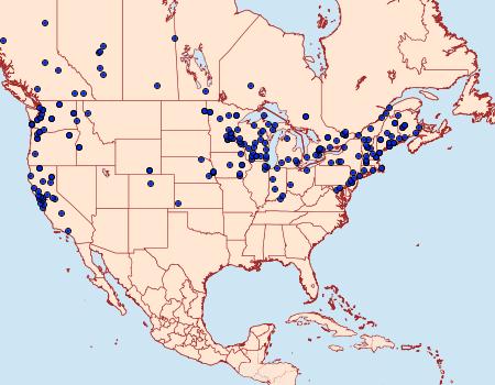 Distribution Data for Operophtera bruceata