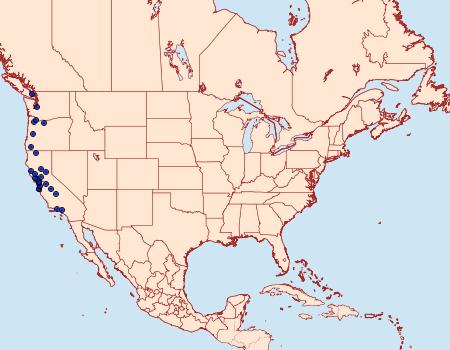 Distribution Data for Operophtera danbyi