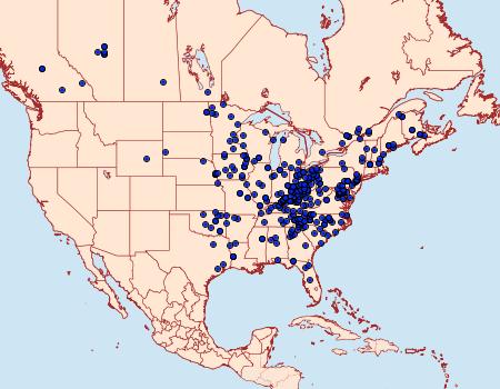 Distribution Data for Eubaphe mendica