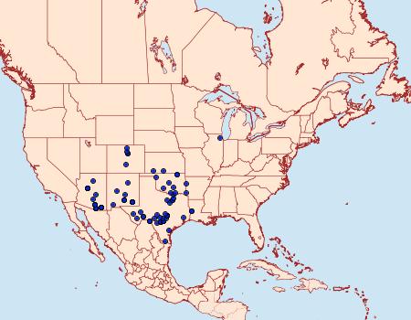 Distribution Data for Eubaphe unicolor