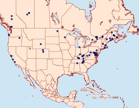 Distribution Data for Eupithecia columbiata