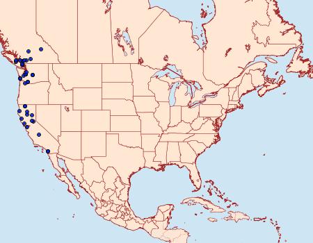 Distribution Data for Eupithecia unicolor