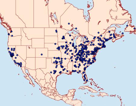 Distribution Data for Eupithecia miserulata