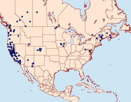 Distribution Data for Eupithecia misturata