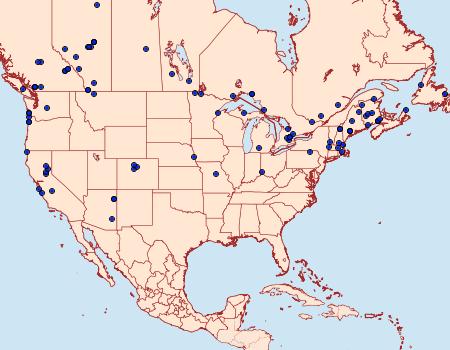 Distribution Data for Eupithecia subfuscata