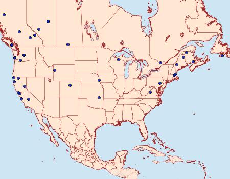 Distribution Data for Eupithecia tripunctaria