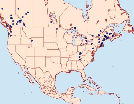 Distribution Data for Eupithecia lariciata