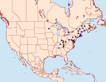 Distribution Data for Eupithecia fletcherata