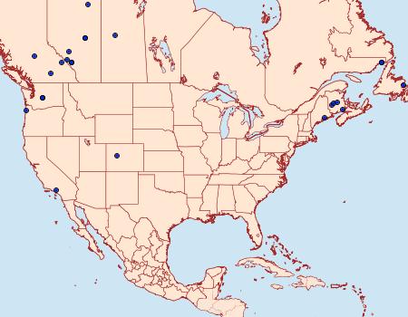 Distribution Data for Eupithecia casloata