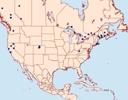 Distribution Data for Eupithecia intricata