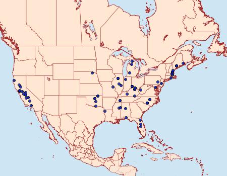 Distribution Data for Phyllonorycter fitchella