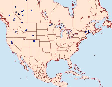 Distribution Data for Eupithecia nimbicolor