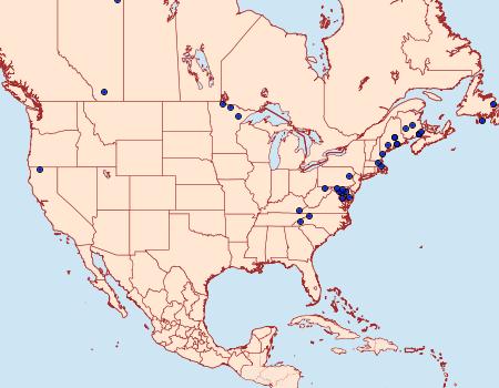 Distribution Data for Eupithecia russeliata