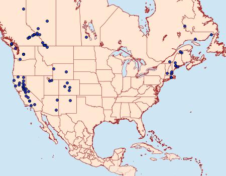 Distribution Data for Eupithecia cretaceata