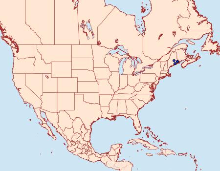 Distribution Data for Phyllonorycter gemmea