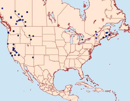 Distribution Data for Eupithecia perfusca