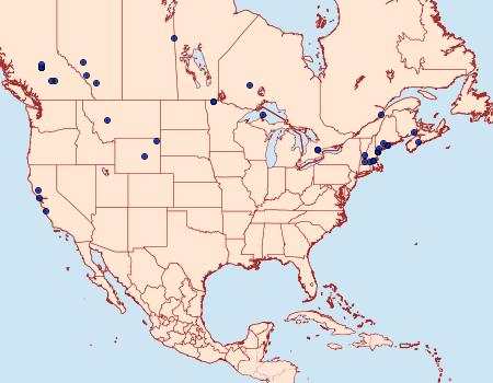 Distribution Data for Eupithecia interruptofasciata