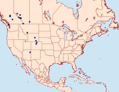 Distribution Data for Eupithecia niphadophilata