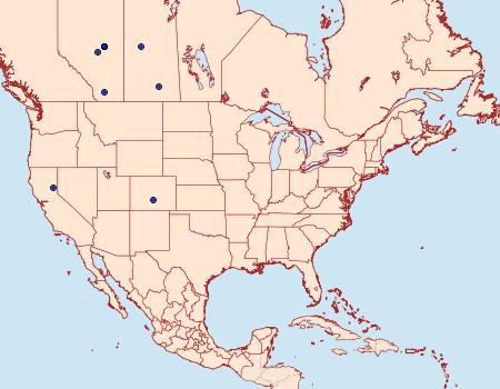 Distribution Data for Eupithecia stellata