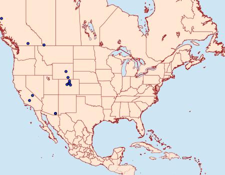 Distribution Data for Eupithecia niveifascia