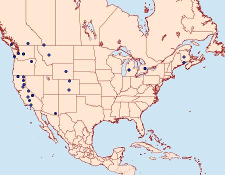 Distribution Data for Eupithecia johnstoni