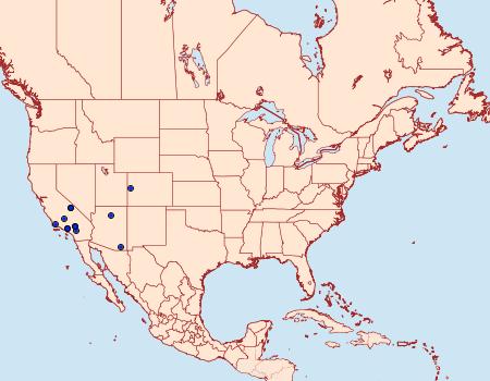 Distribution Data for Eupithecia adequata